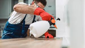 Best Residential Pest Control  in Cedaredge, CO